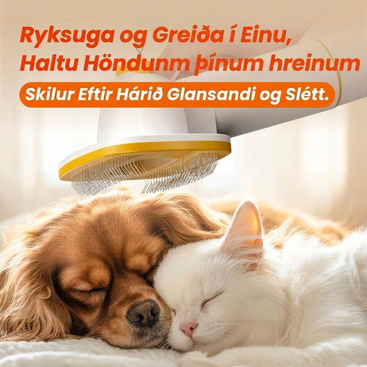 5-í-1 Gæludýrasnyrtir með Ryksugu